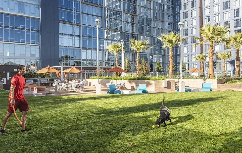 The Grad San Jose student housing amenities and interiors photo 8